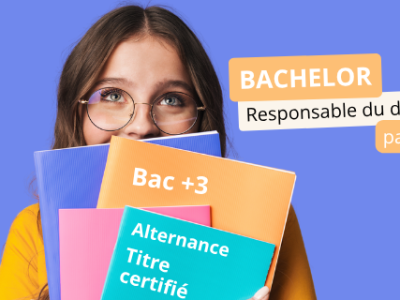 Bachelor Responsable Du Développement